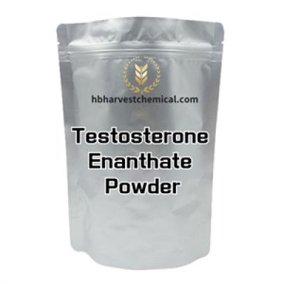 Testosterone Enanthate CAS 315-37-7