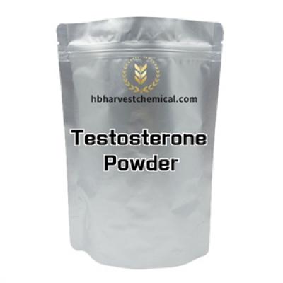 Testosterone powder 
